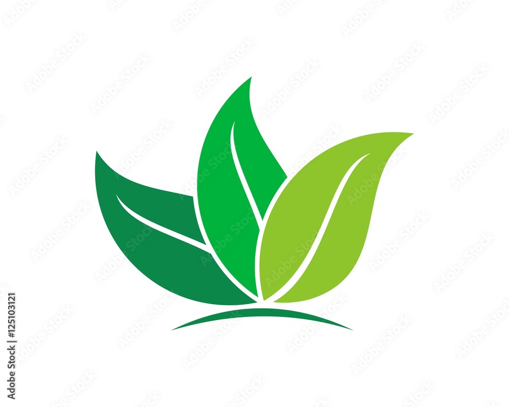 leaf logo 4 icon template