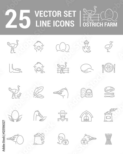 Vector graphic set. Silhouette  logo  icon. Ostrich farm  ostrich eggs. Linear  flat  contour  thin design. App  Web site template  infographic.