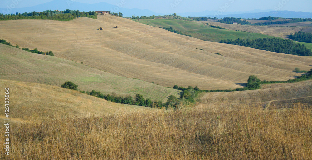 Landscape of tuscan country , Tuscany Italy 