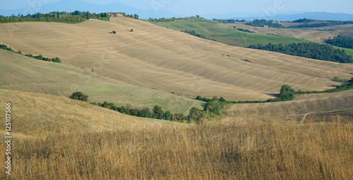 Landscape of tuscan country   Tuscany Italy 