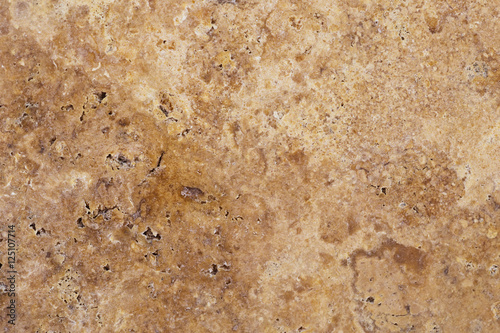 Coquina stone texture