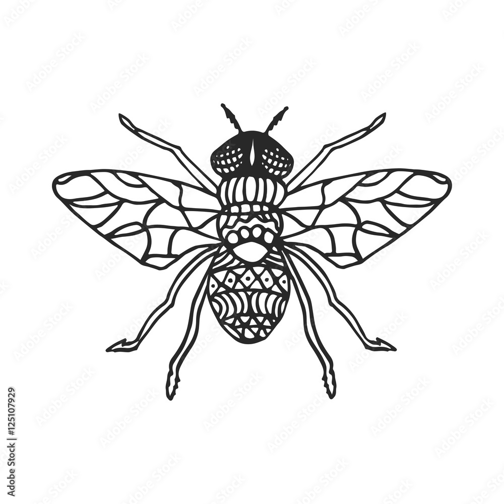 Obraz premium Fly stencil pattern vector illustration. Black cutout insect.