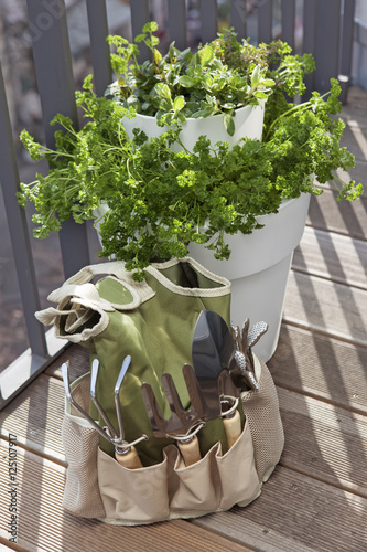 garden tool set with potted herbs on a sunny balcony