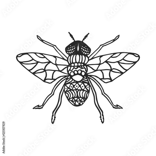 Fly stencil pattern vector illustration. Black cutout insect. © YoPixArt