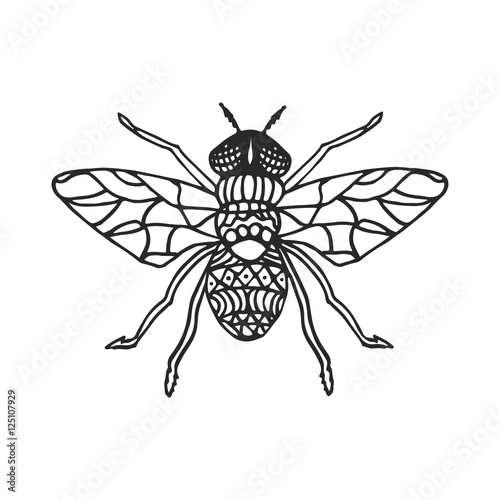 Fly stencil pattern vector illustration. Black cutout insect.