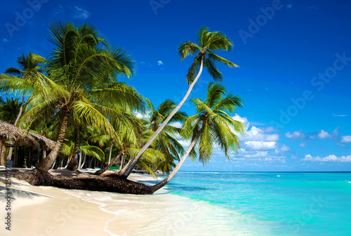 Tropical beach in caribbean sea, Saona island, Dominican Republic photo
