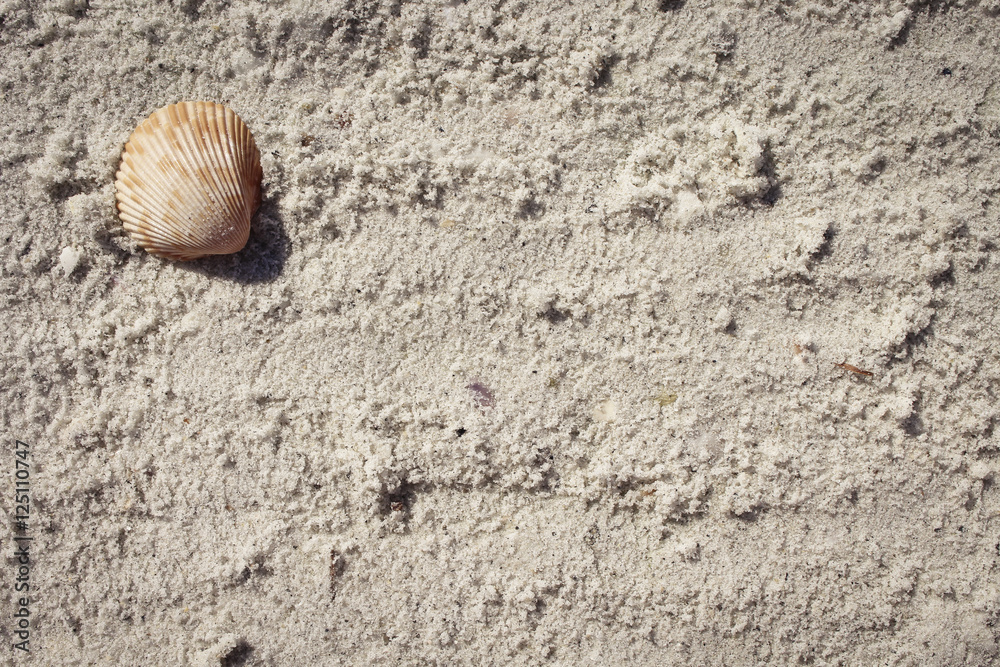 Image of a Sandy Beach Background
Image of a Sandy Beach Background