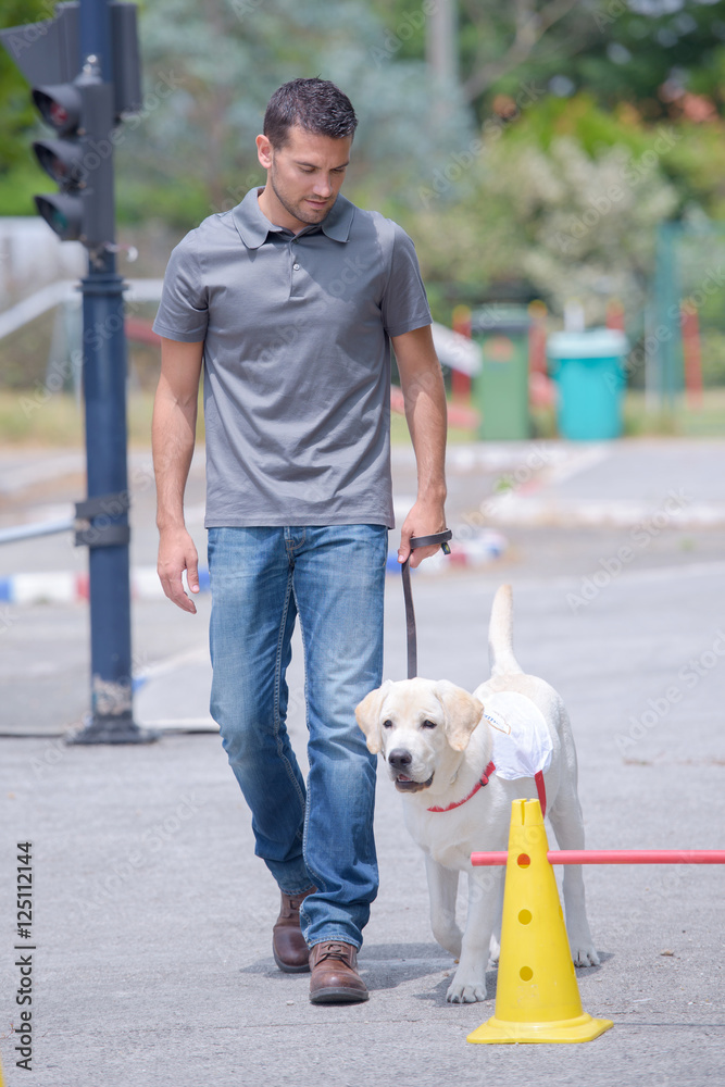 dog trainer with dog in street dog trainer with dog in street