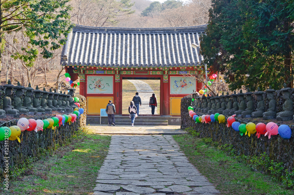Obraz premium Entering alley and gate of Gwaneumsa buddhist Temple at Jeju Isl