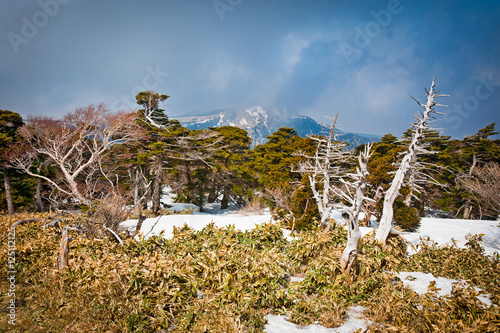 Mountain storm landscape at Hallasan of Jeju island Korea photo