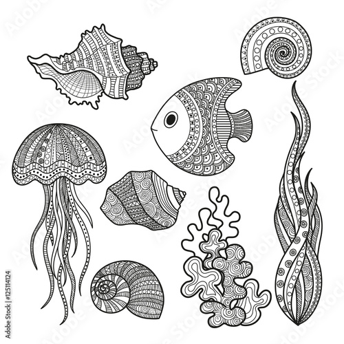 set of marine life fish
