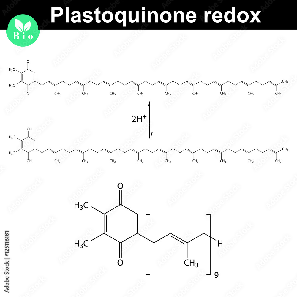 Redox reaction of plastoquinone molecule Redox reaction of plastoquinone molecule