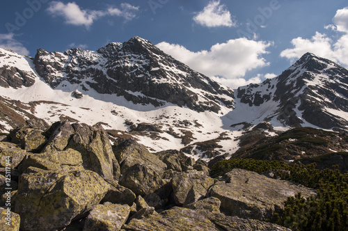 Panorama mountain spring landscape © Jacek Jacobi