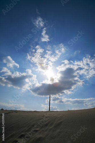 光と雲の大樹