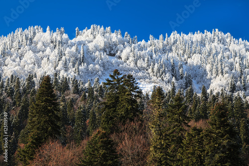 Drastic change of seasons in the mountains