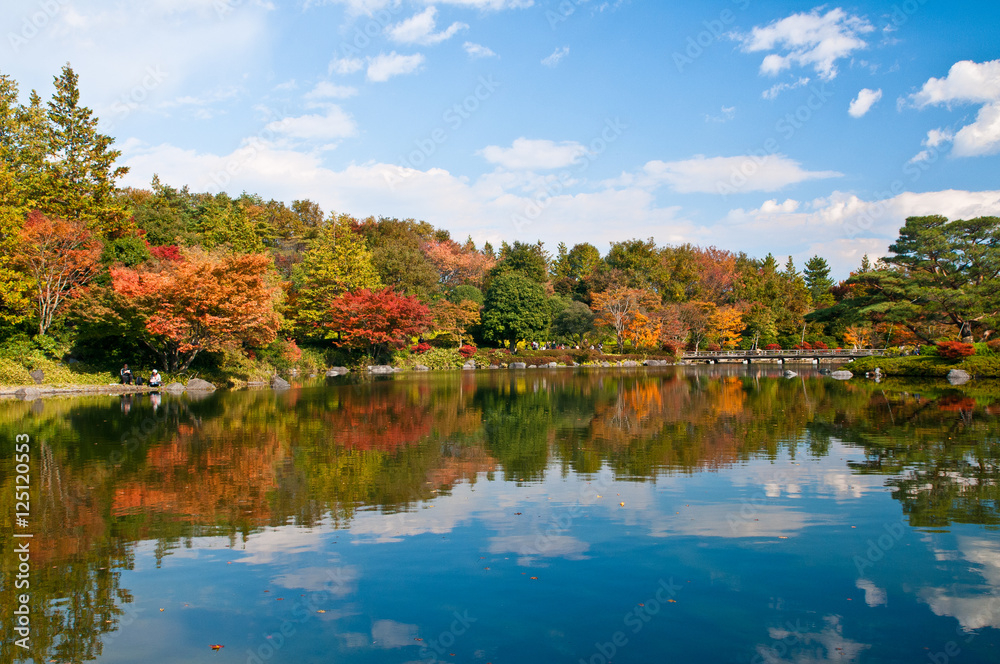 Obraz premium 紅葉風景