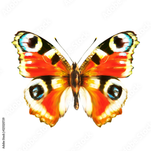 butterfly,red,, isolated on a white © aboard