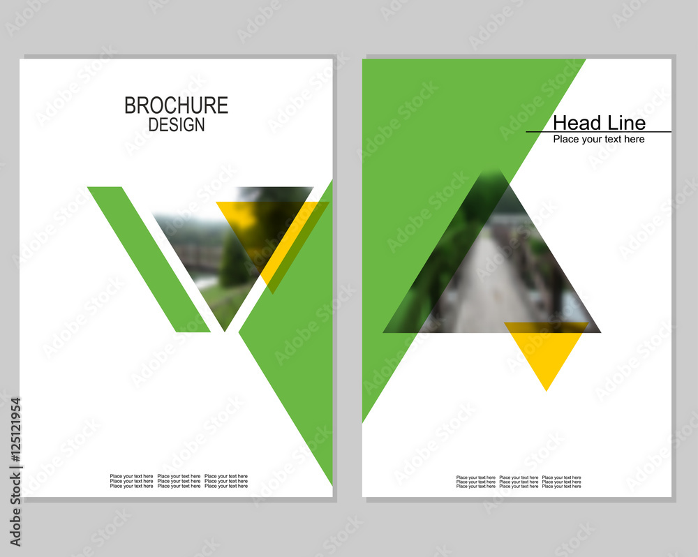 Vector brochure cover templates with blurred landscape. Business brochure cover design. EPS 10. Mesh background.