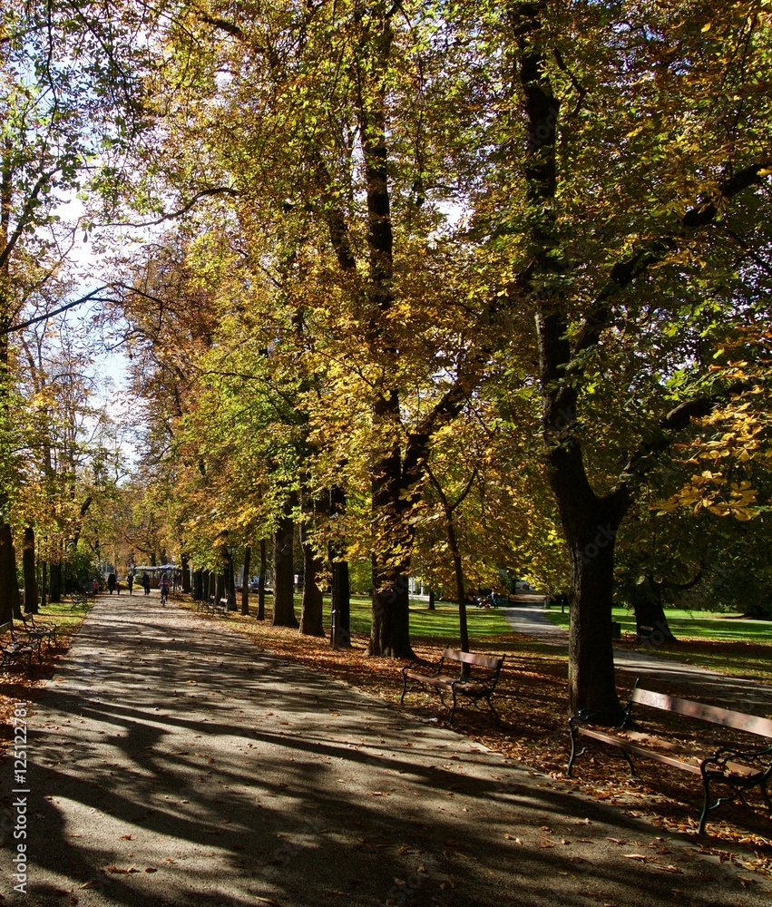Herbstlicher Park