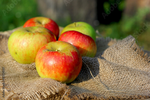 Rural natural organic apples on coarse cloth sacking background photo