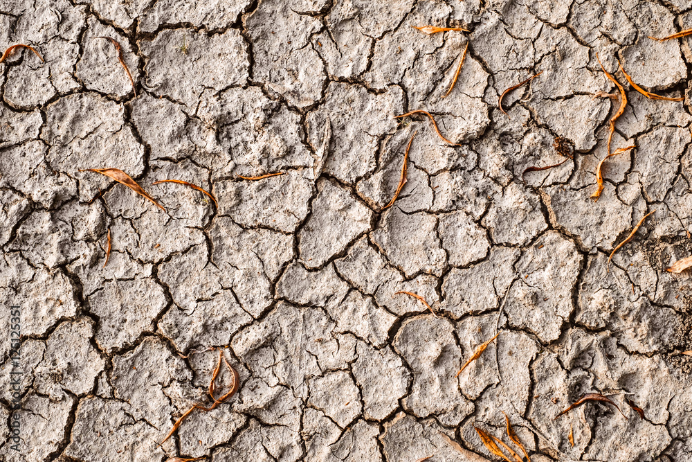 Dry cracked sand background with dry leaves, clay desert texture Dry cracked sand background with dry leaves, clay desert texture