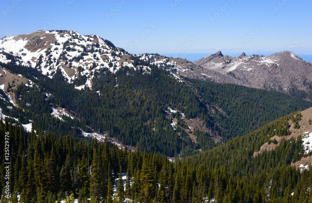 Olympic National Park