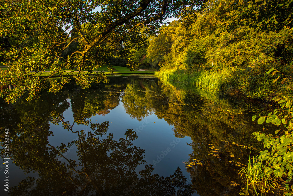 Obraz premium Autumnal scene at Temple Newsam Par in Leeds, Yorkshire.