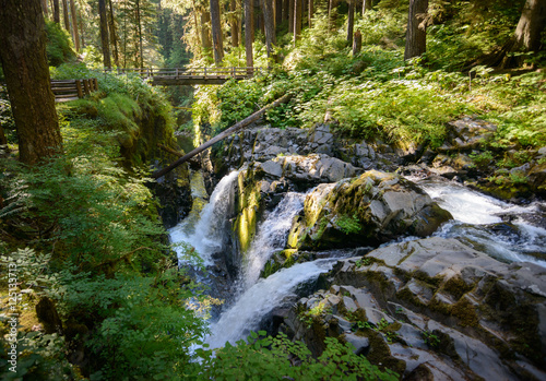 Sol Duc Falls  Olympic National Park