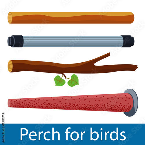 Vector illustration of plastic and pumice perch for pet birds and wood branch. Isolated accessories for parrot, canary or other bird in cage. 