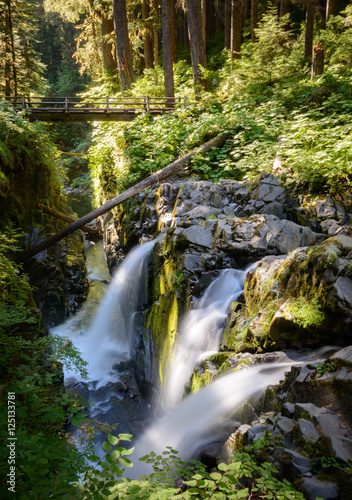 Fototapeta Naklejka Na Ścianę i Meble -  Sol Duc Falls, Olympic National Park