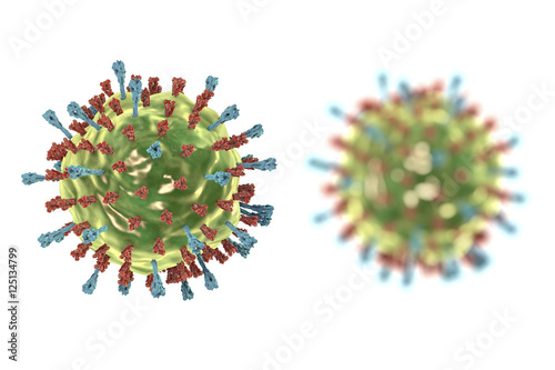 Mumps virus. 3D illustration showing structure of mumps virus with surface glycoprotein spikes heamagglutinin-neuraminidase and fusion protein photo