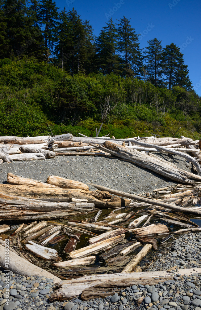 Ruby Beach, Olympic National Park Ruby Beach, Olympic National Park
