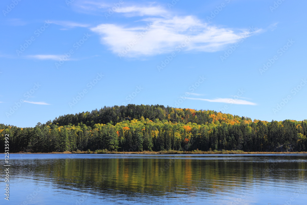 Algonquin lake and trees in fall