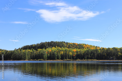 Algonquin lake and trees in fall