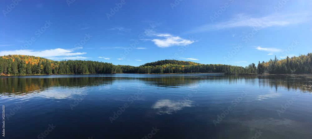 Fototapeta premium Panorama view of Algonquin scene in fall
