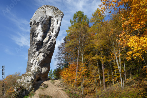 Rock called Maczuga Herkulesa in Pieskowa Skala.Poland photo