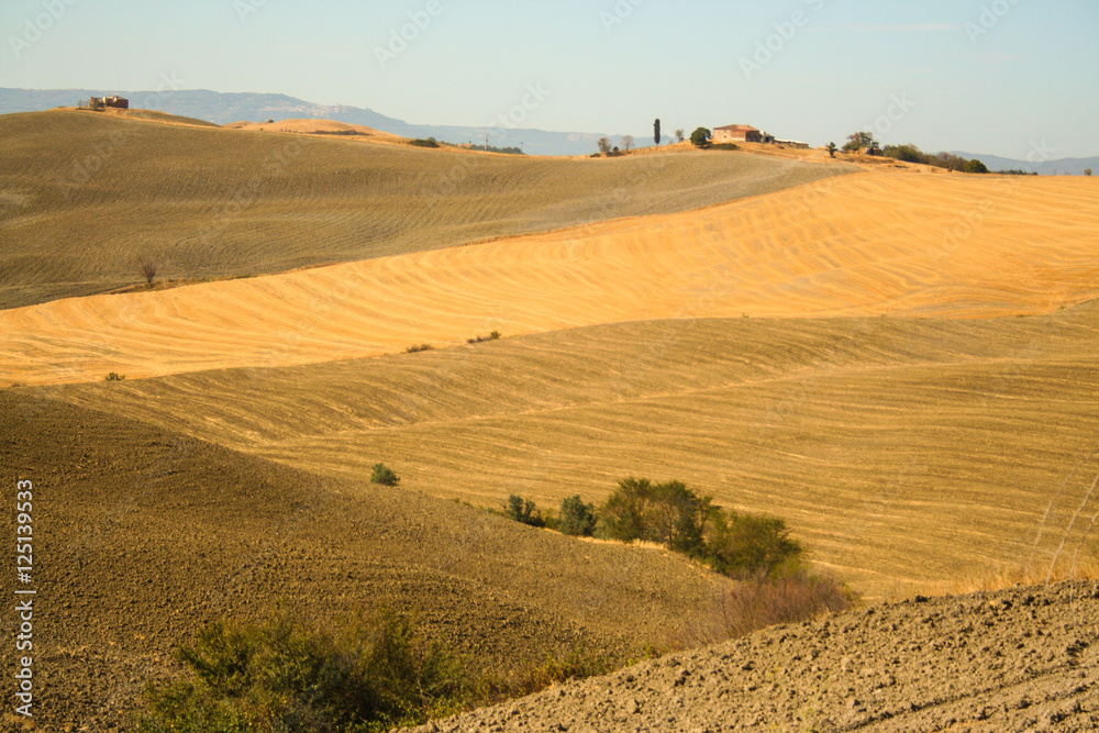 Landscape of tuscan countryard, Tuscany Italy 
