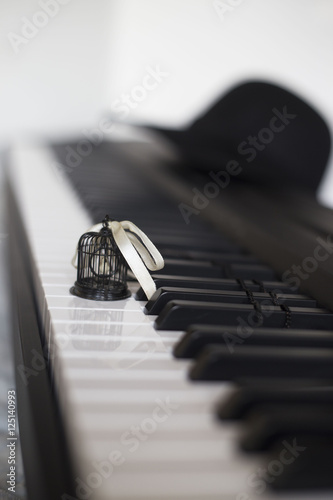 птица в клетке на пианино