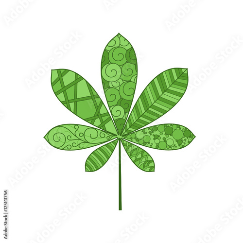 HORSE CHESTNUT LEAF doodle