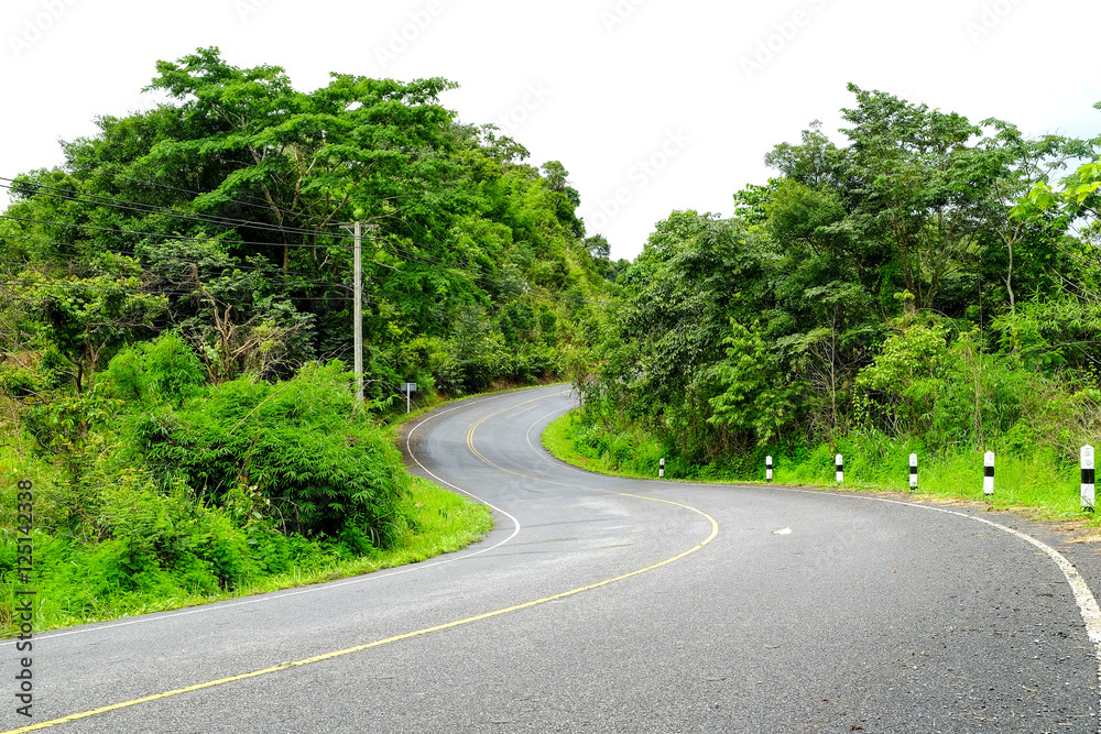 Winding road in the countryside With trees on both sides.