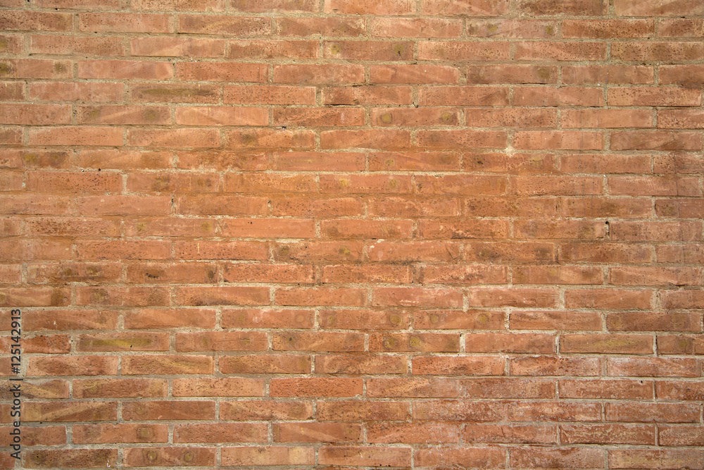Fototapeta premium Brick wall