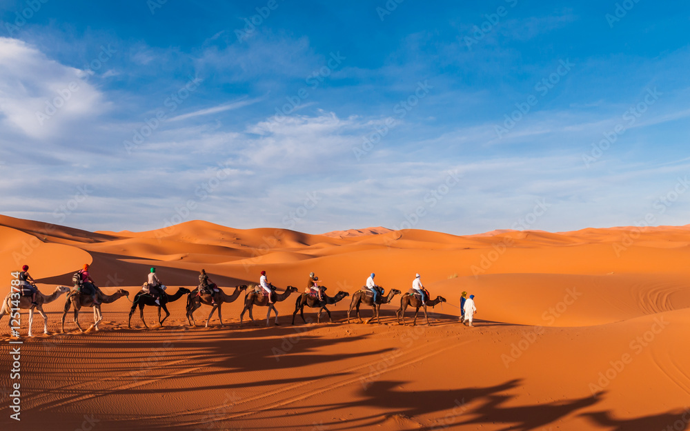 Karawane in den Dünen der Sahara bei Merzouga (Erg Chebbi); Marokko - obrazy, fototapety, plakaty 