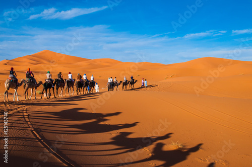 Karawane in den Dünen der Sahara bei Merzouga (Erg Chebbi); Marokko