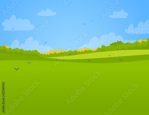 Vector landscape
