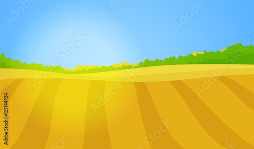 Vector landscape