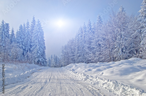 Wallpaper Mural path in winter forest Torontodigital.ca