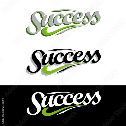 success caligraphy, vector illustration, success theme, scheme