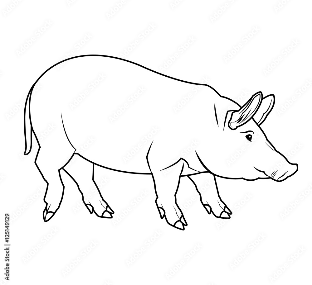 Pig icon. Animal life nature and fauna theme. Isolated black and white design. Vector illustration Pig icon. Animal life nature and fauna theme. Isolated black and white design. Vector illustration