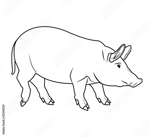 Pig icon. Animal life nature and fauna theme. Isolated black and white design. Vector illustration