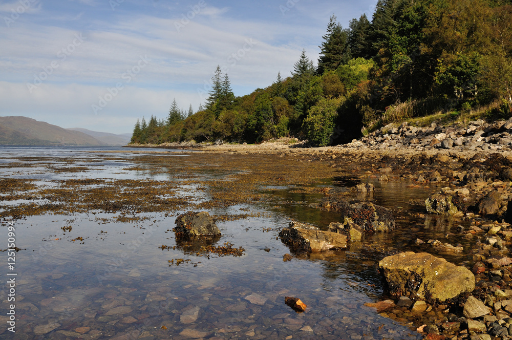 Fototapeta premium Scottish view